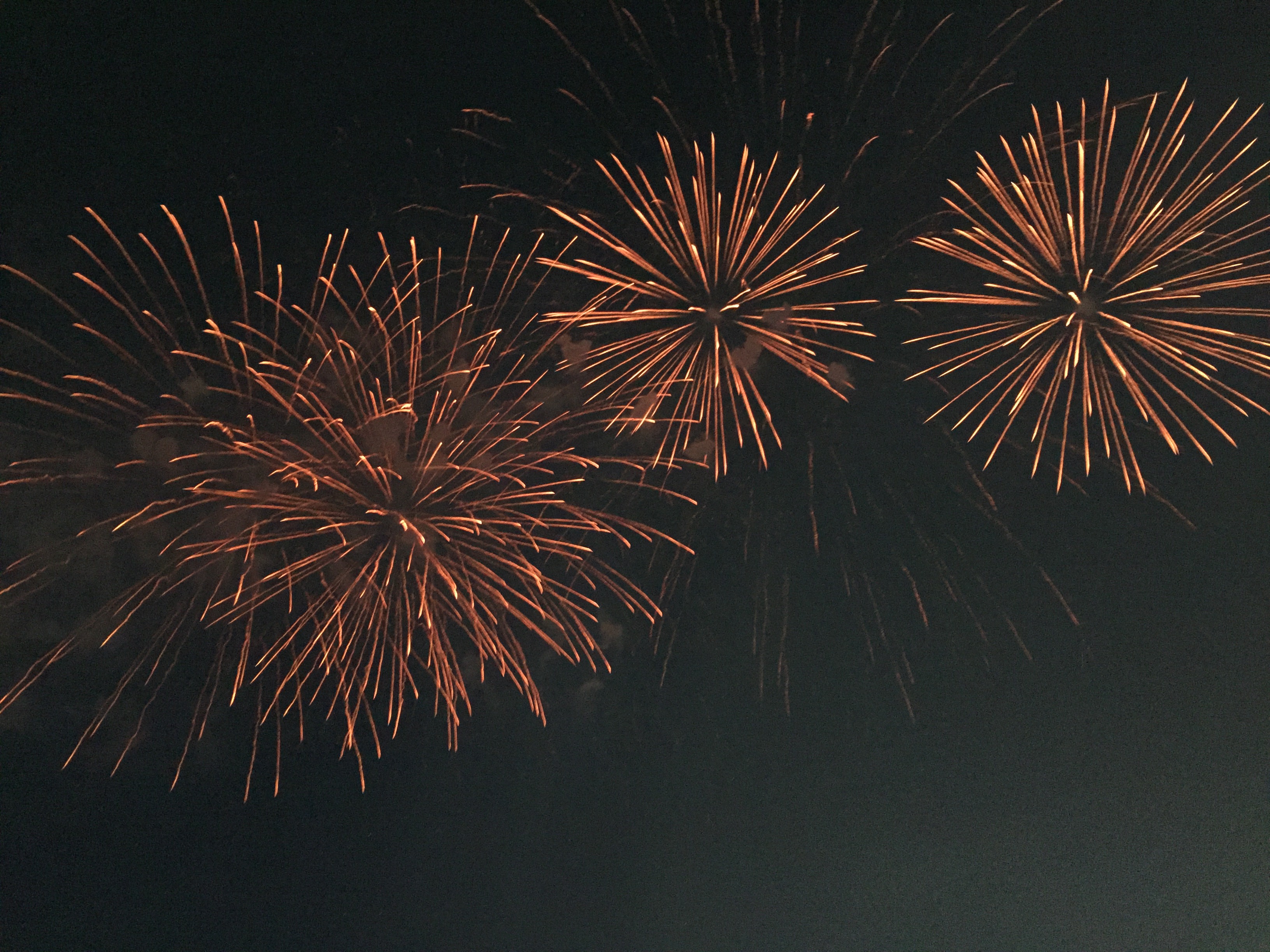 第14回三郷花火大会16の混雑具合 Re You